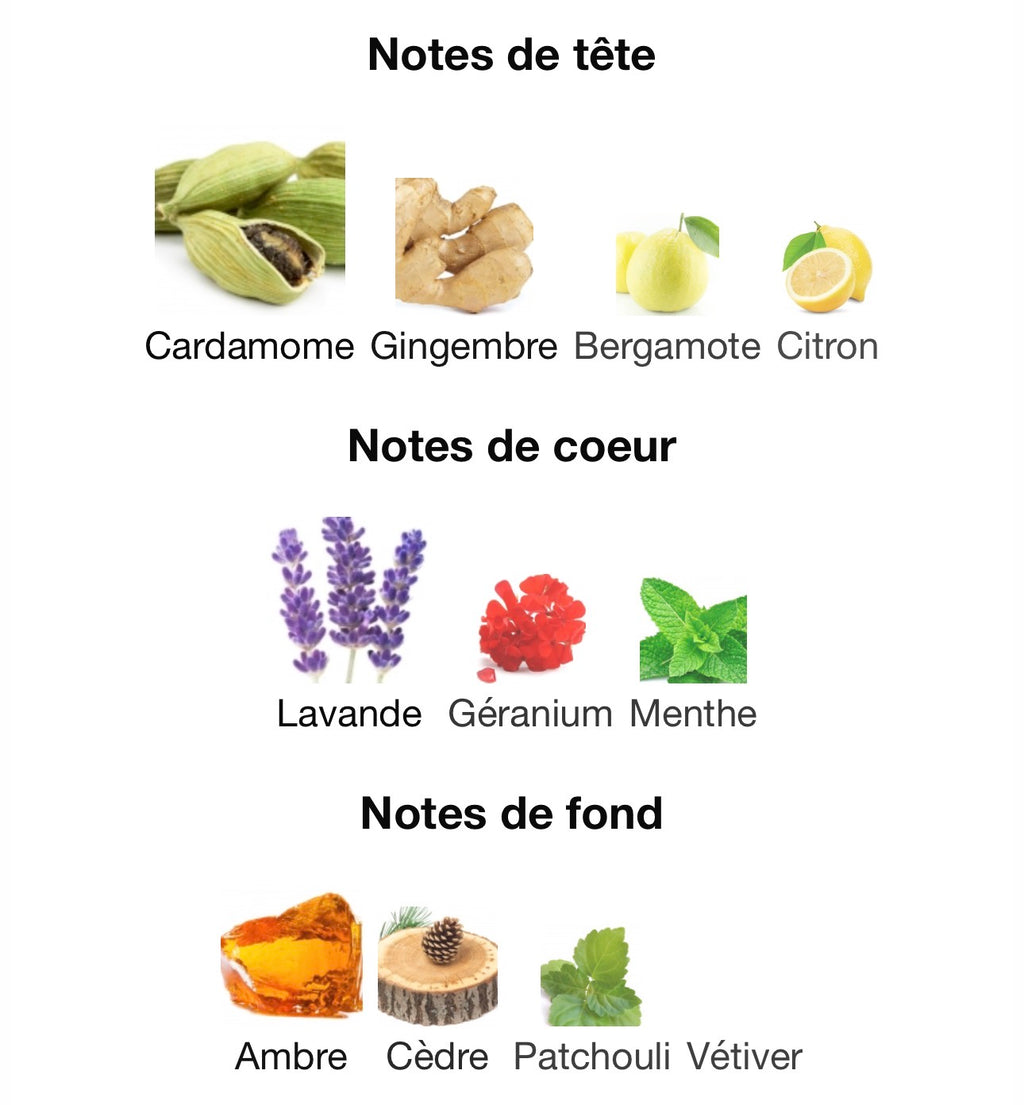 AL NASHAMA CAPRICE بديل~|YSL Bleu electrique|