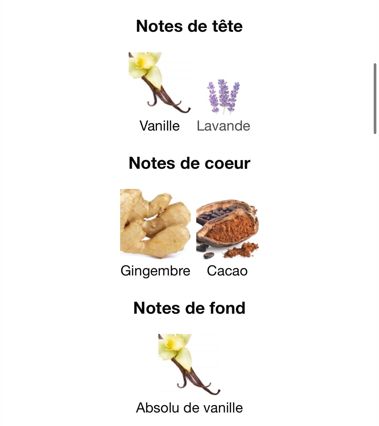 CLUB DE NUIT LIONI HEART WOMAN 100ml بديل~|Goddess burberry|