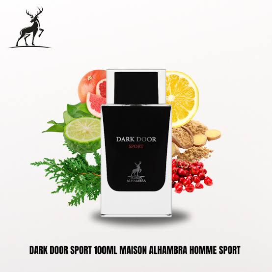 DARK DOOR SPORT 100ml بديل|DIOR HOMME SPORT|