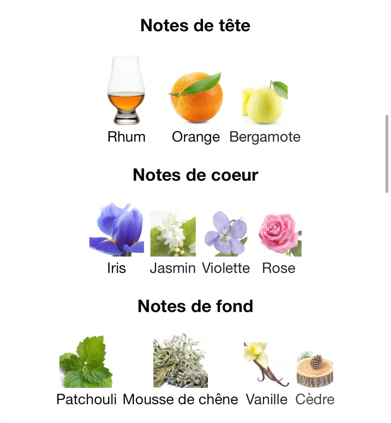 EXQUITISE PRIVE 100ml بديل~|Gvnchy reserve prive & dior homme intense|