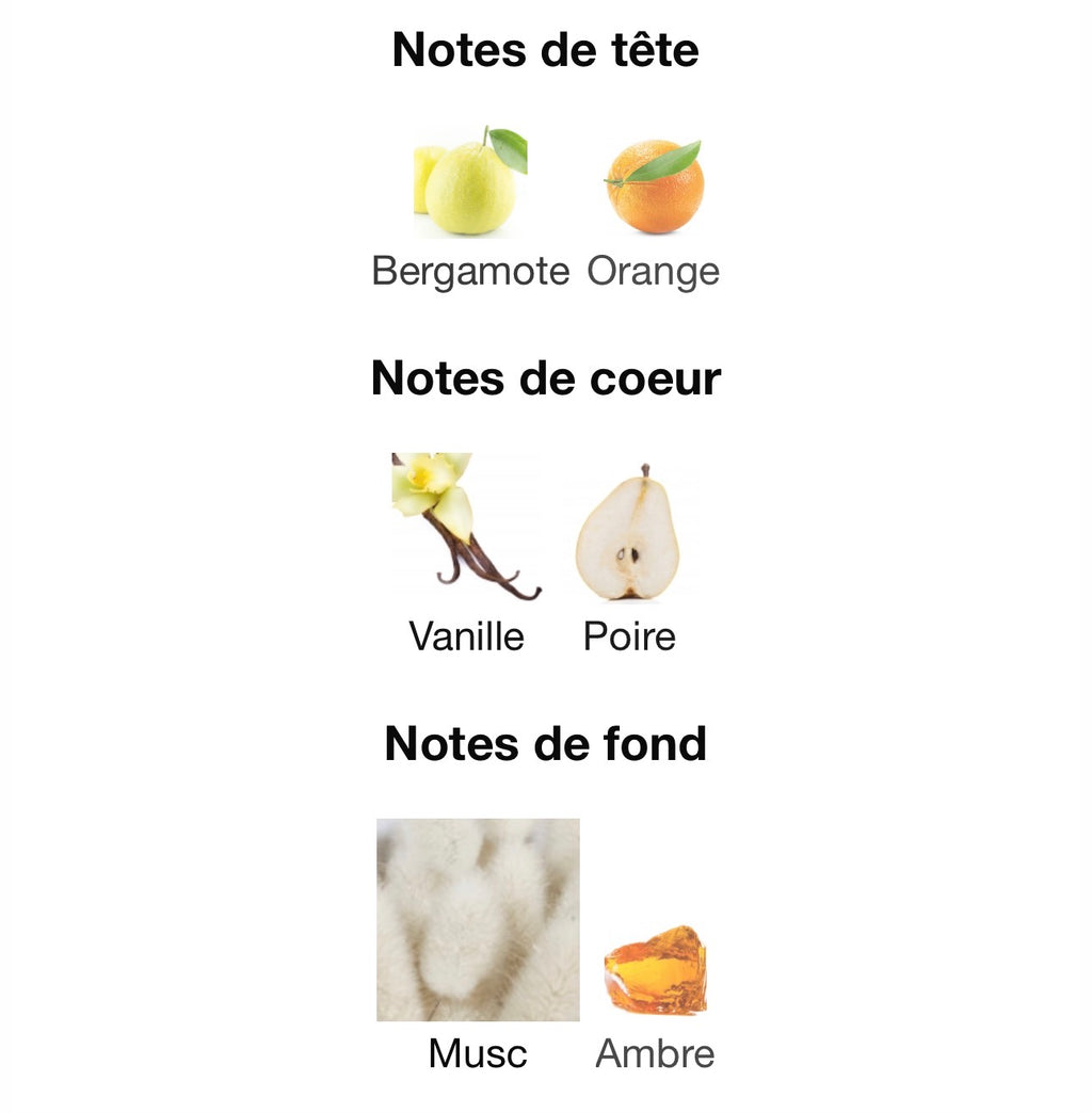 ANA ABIYEDH 60ml  بديل~|Erba Pura Xerjoff|