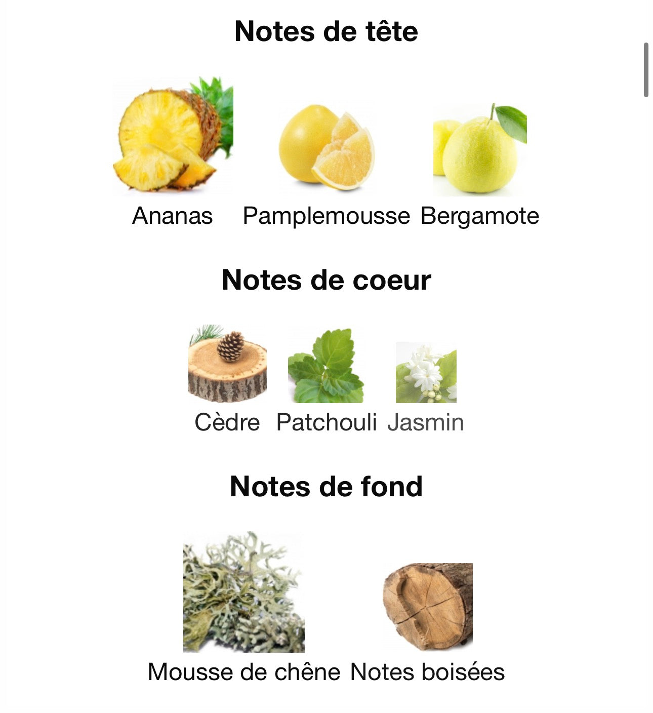 CHATEAU OTTOMAN 100ml بديل~|Nishane hacivat|