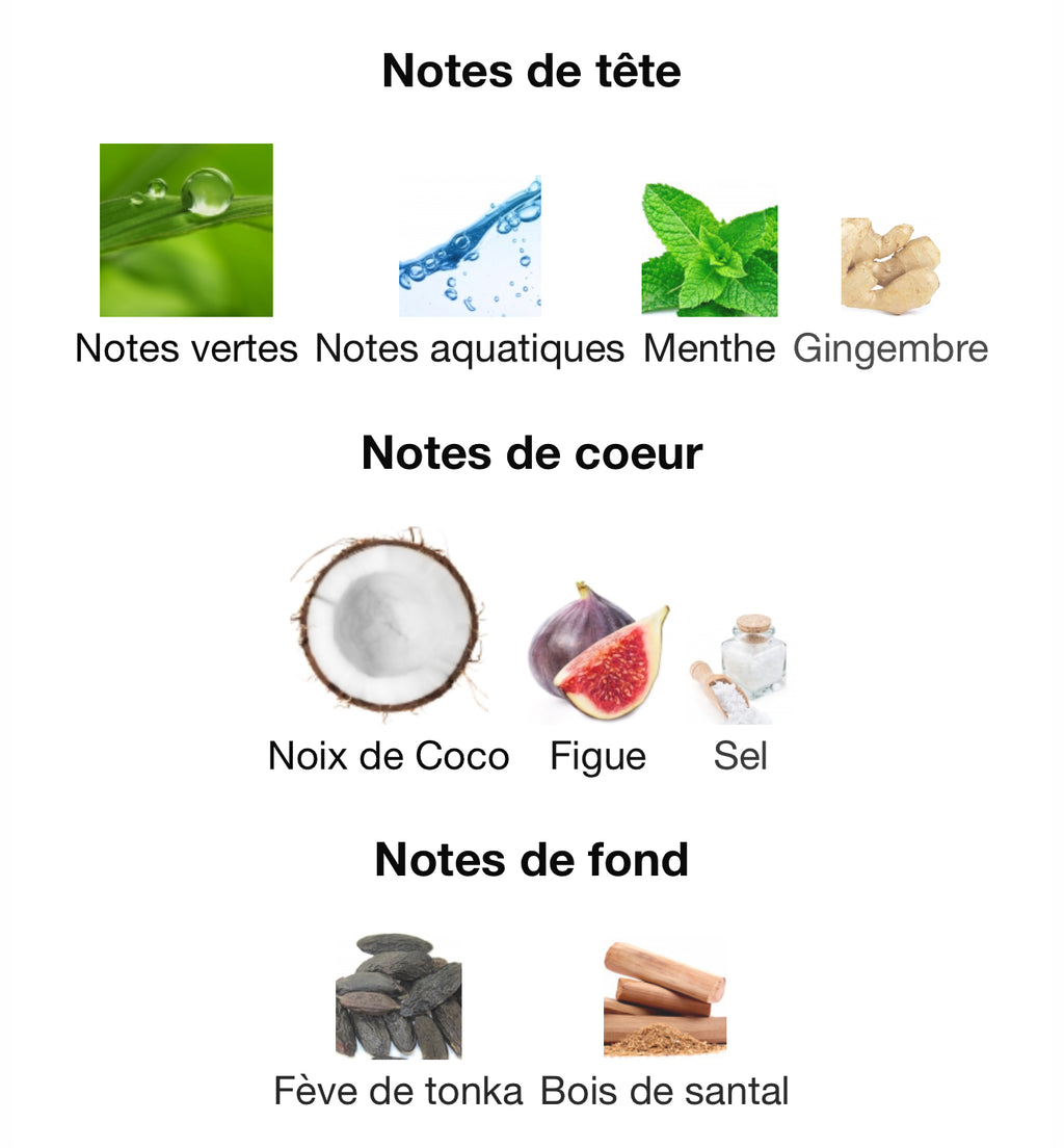 PARADISE GARDEN- louis martin 100ml