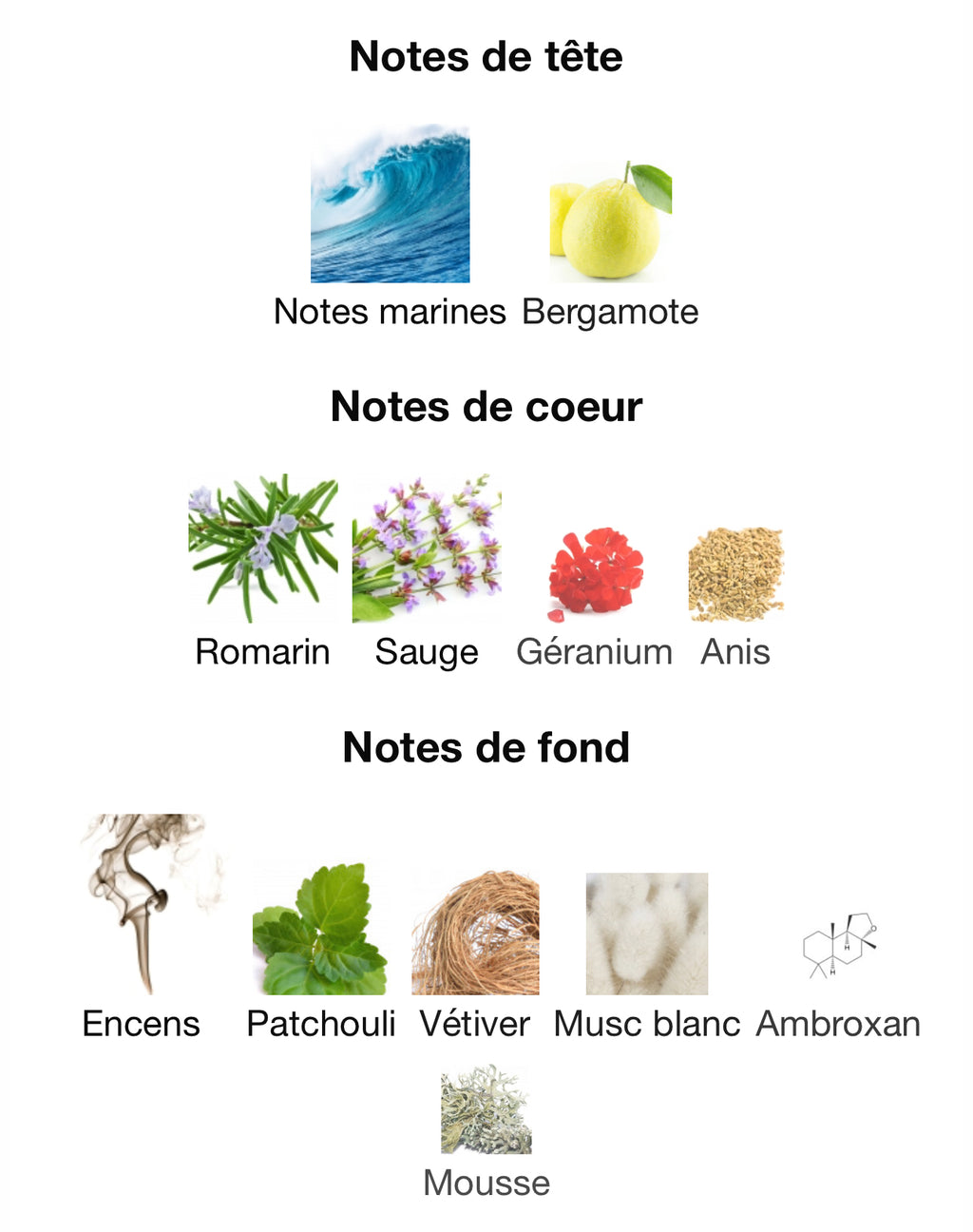 AQUA OUD 90ml by ahmed al-maghribi بديل|aqua di gio parfumo|