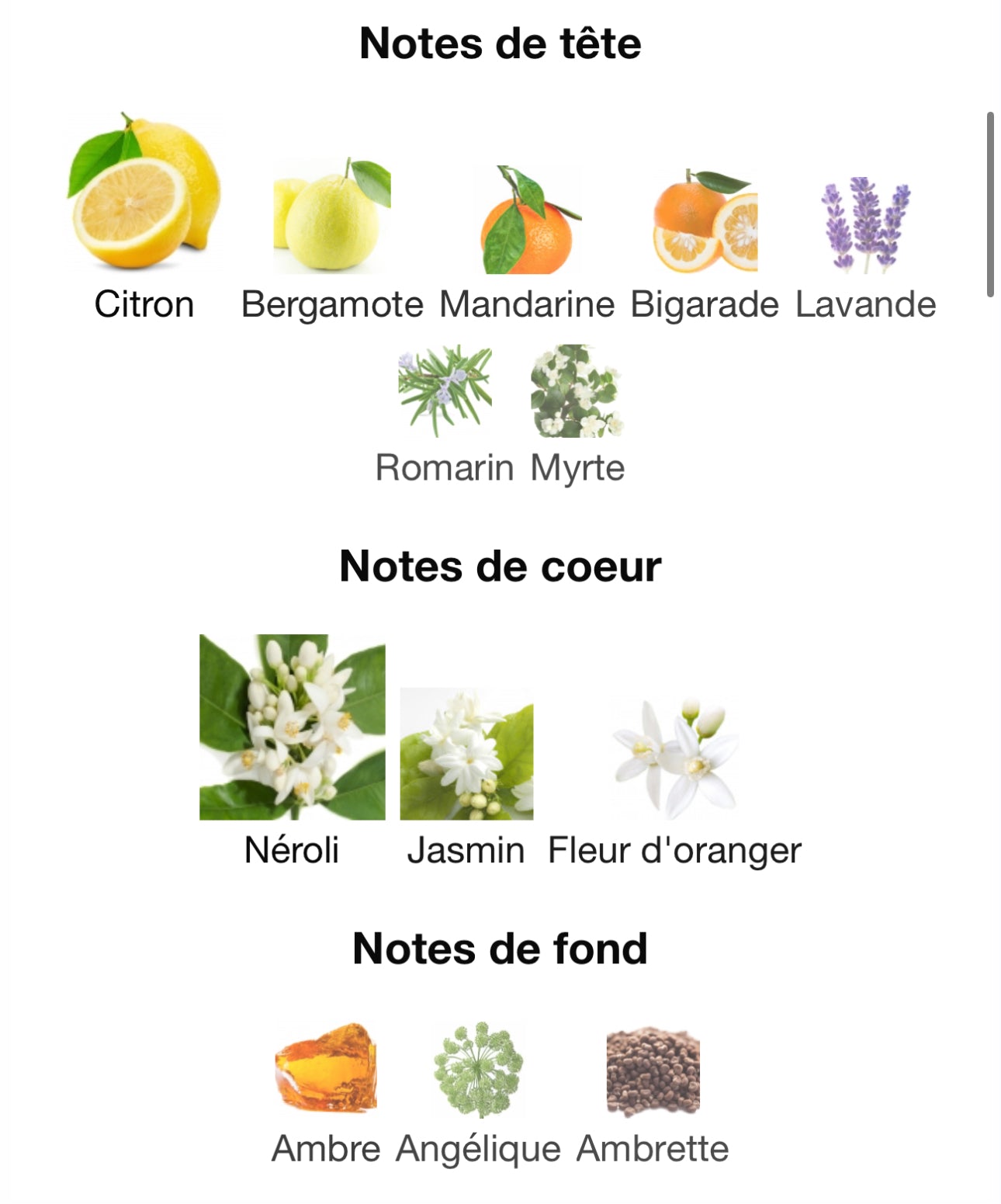 PACIFIC BLUE 80ml بديل|Tom Ford Neroli Portofino