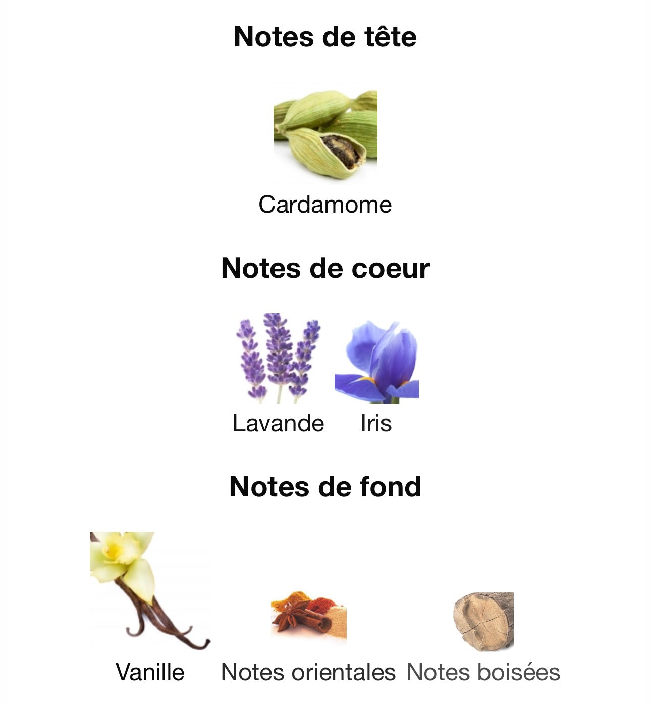 LE MALE LE PARFUM JPG